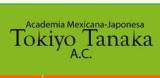 www.academiamexicanajaponesa.com.mx