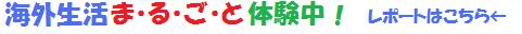 NZ日本語教師体験レポート